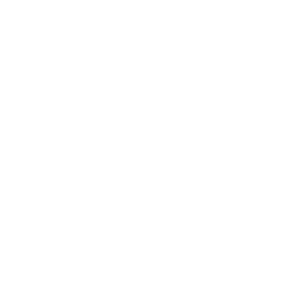 Donington Park circuit outline